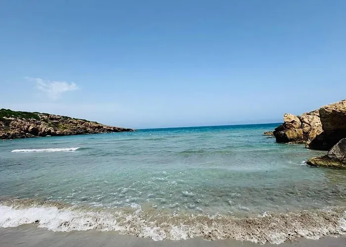 Oasis Reitani