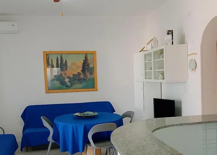Oasis *