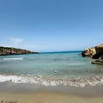 Oasis Reitani