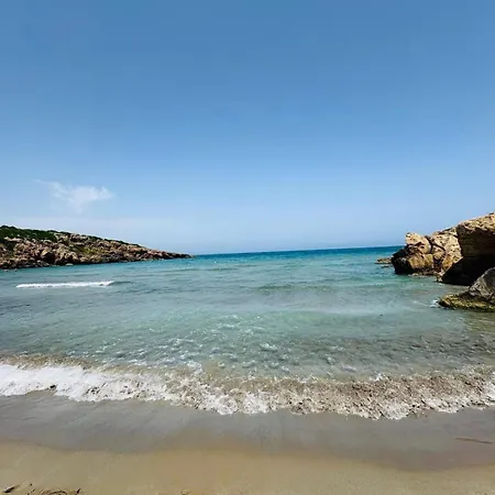 Oasis Reitani